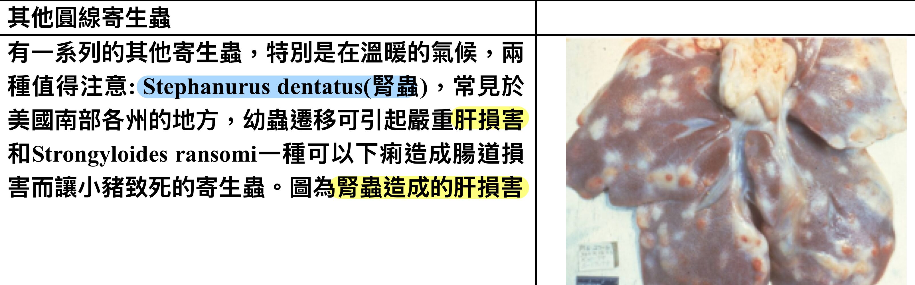 6a2f4379730cc.jpg