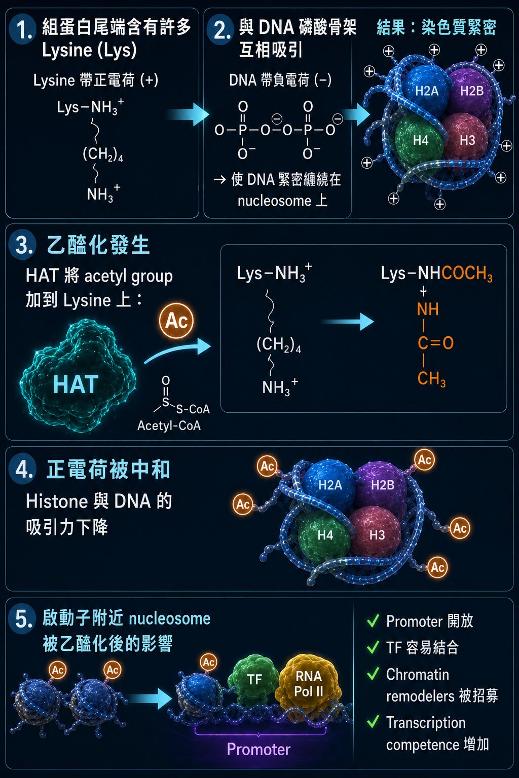 6a2f92a868a9a.jpg