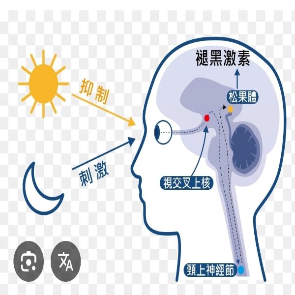6a2fb57c3c01b.jpg