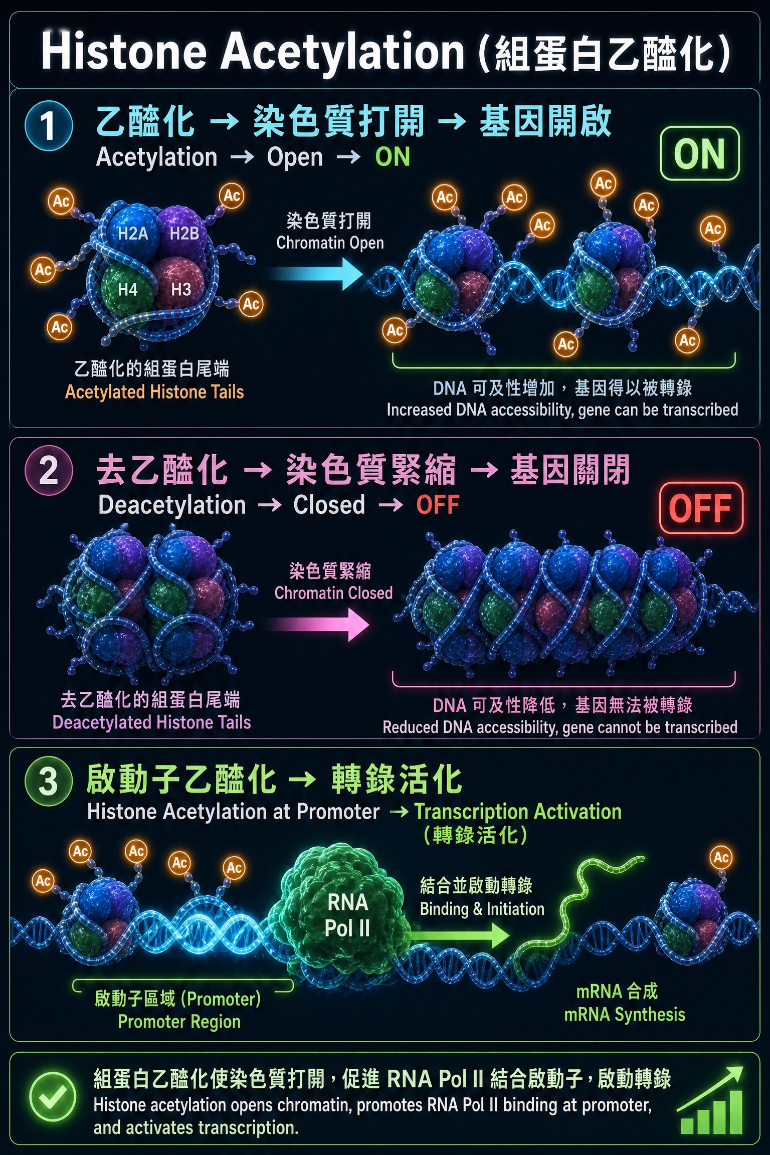 6a2fb9469e41e.jpg