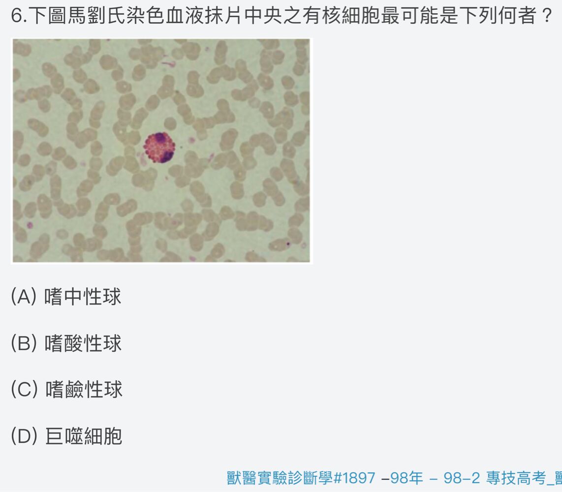 6a2fe87c9d074.jpg
