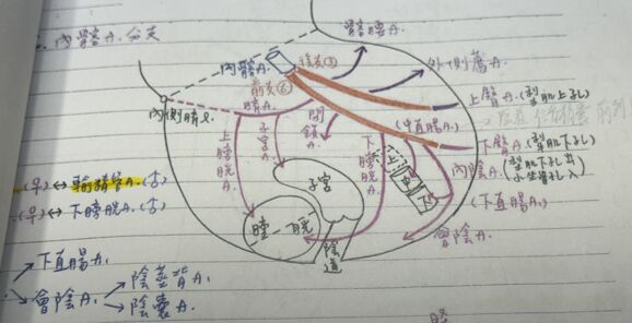 6a311c66155bf.jpg