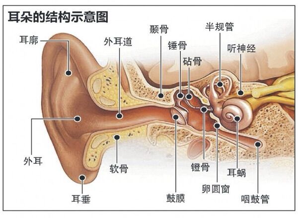 6a325b2fc0493.jpg