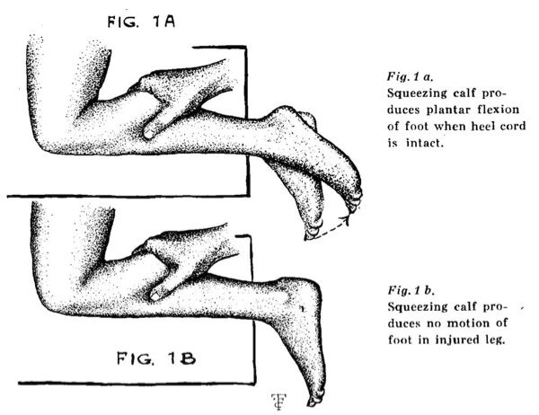 6a33644e87cbb.jpg