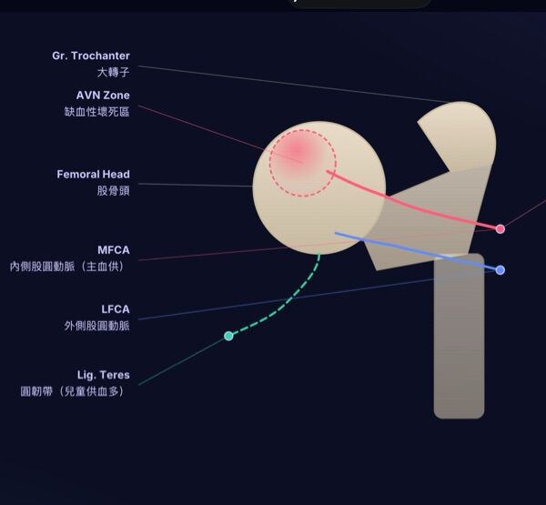6a34be6d394cd.jpg