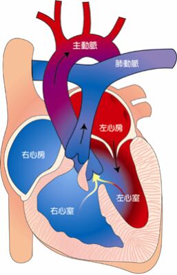 6a35351f73d41.jpg