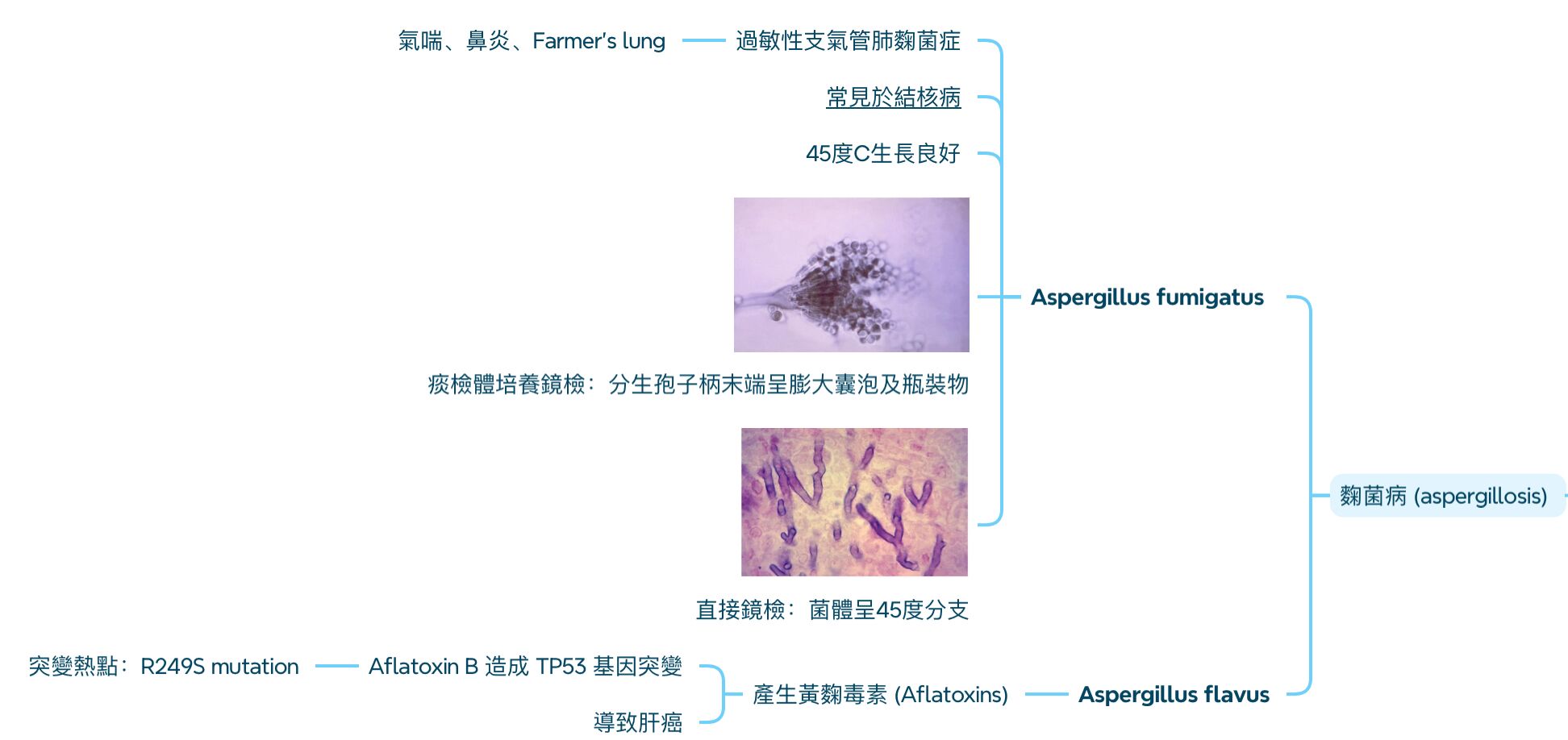 6a3563e81a687.jpg