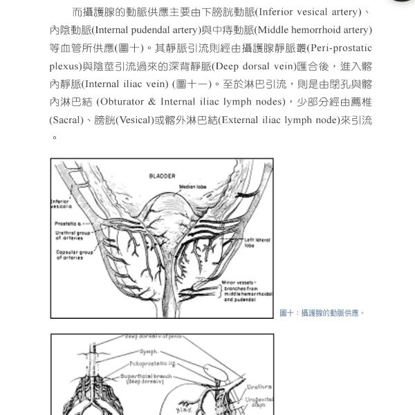 6a36ab68af47a.jpg