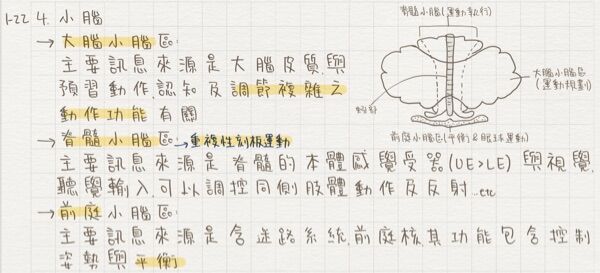 6a3779bfb4958.jpg