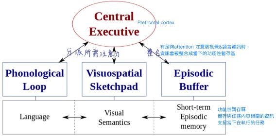 6a3894d8e4a55.jpg