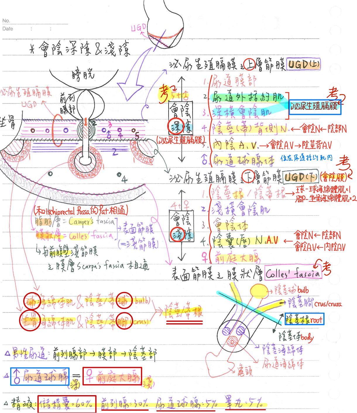 6a38a9741c4d8.jpg