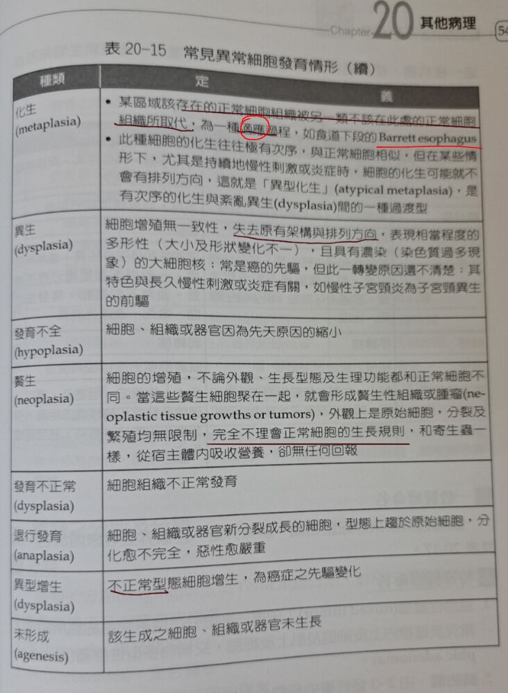 6a39301cec831.jpg