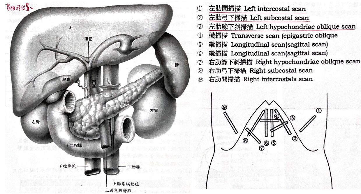6a3a26873797d.jpg