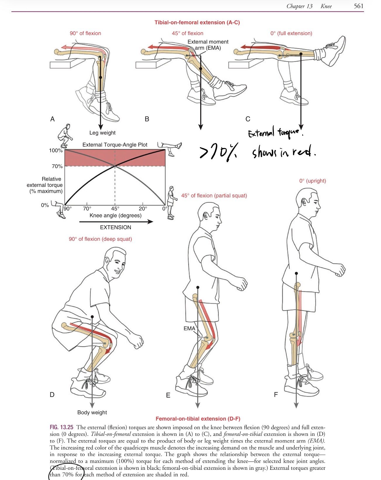 6a3a441ee7246.jpg