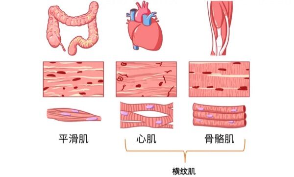 6a3bc8d1e1823.jpg