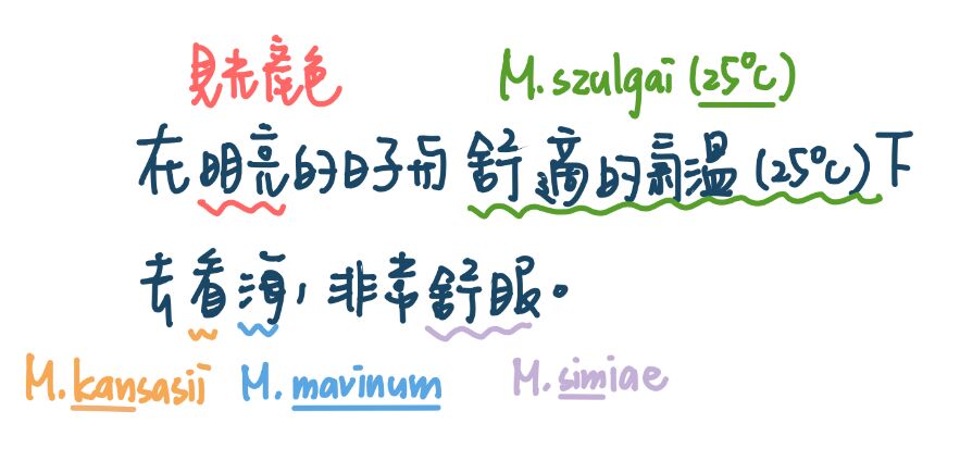6a3be12353d23.jpg