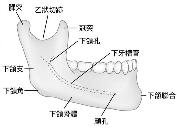 6a3bfbfe4e761.jpg