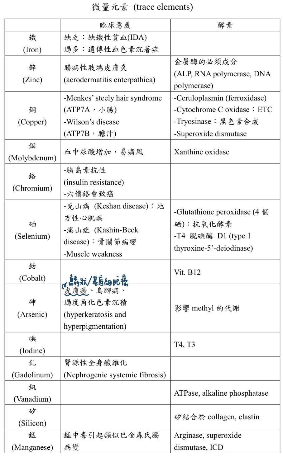 6a3cc657988ae.jpg