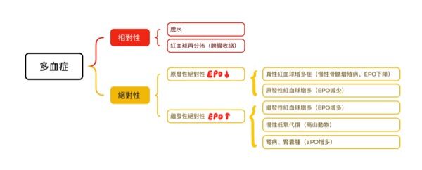 6a3cdff9cd813.jpg
