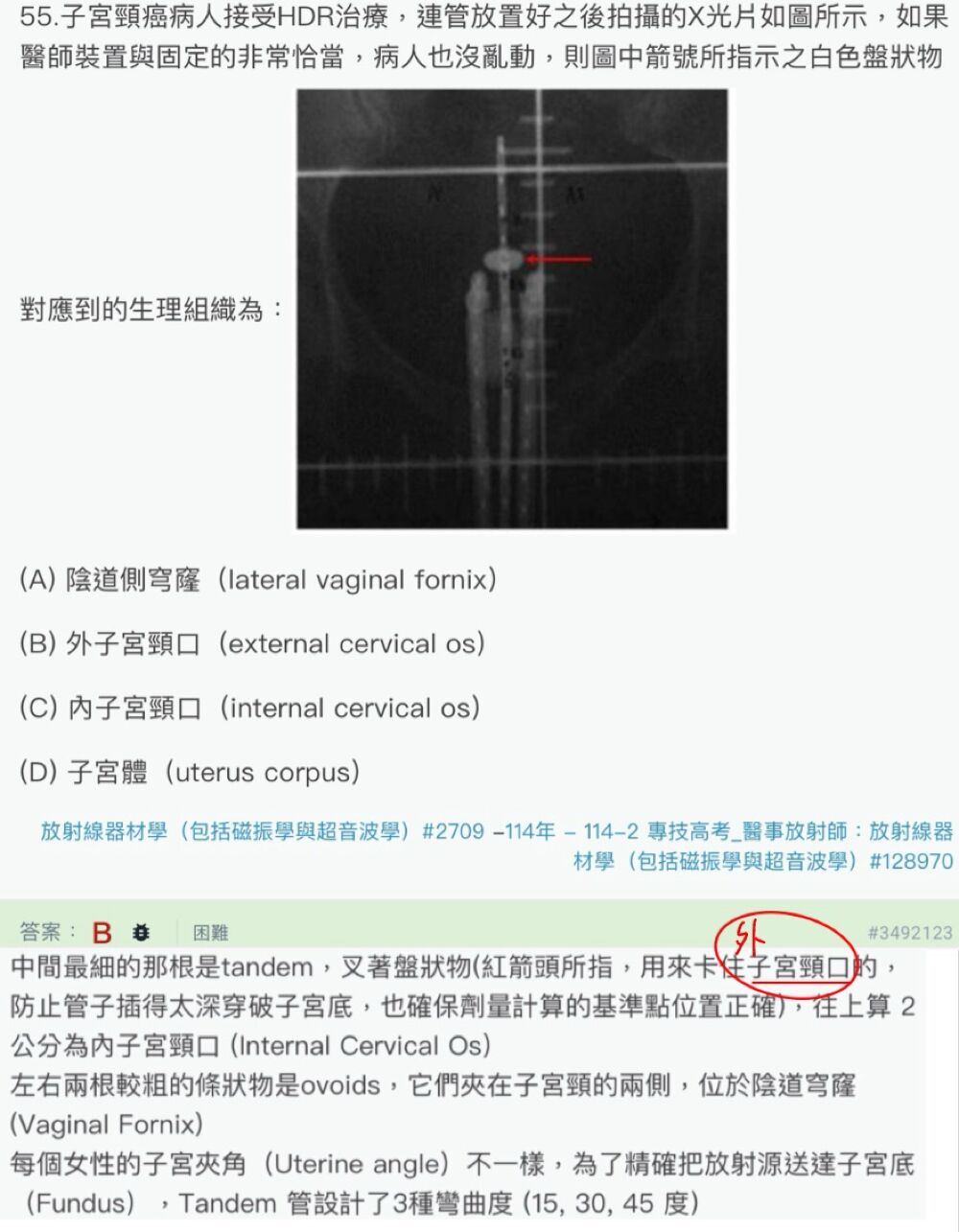 6a3e2bdb5634a.jpg