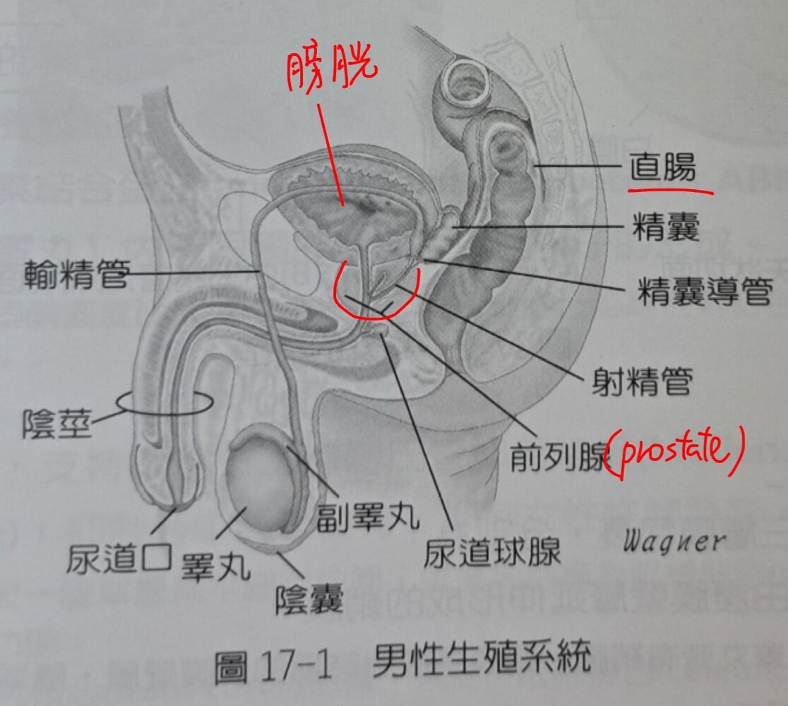 6a3e7b761edba.jpg