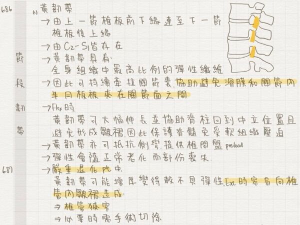 6a3e82691563d.jpg