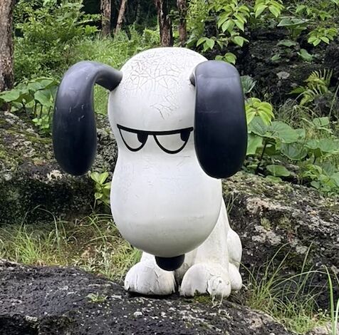 麥塊小羊藥學習