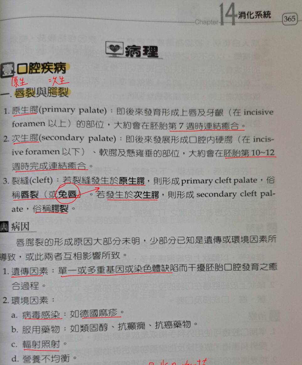 6a3f757053495.jpg