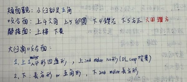6a3f8ff39eb02.jpg