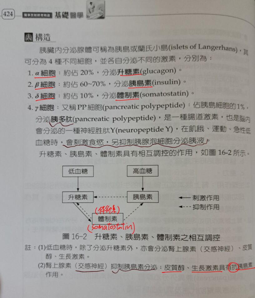 6a400b42555fb.jpg