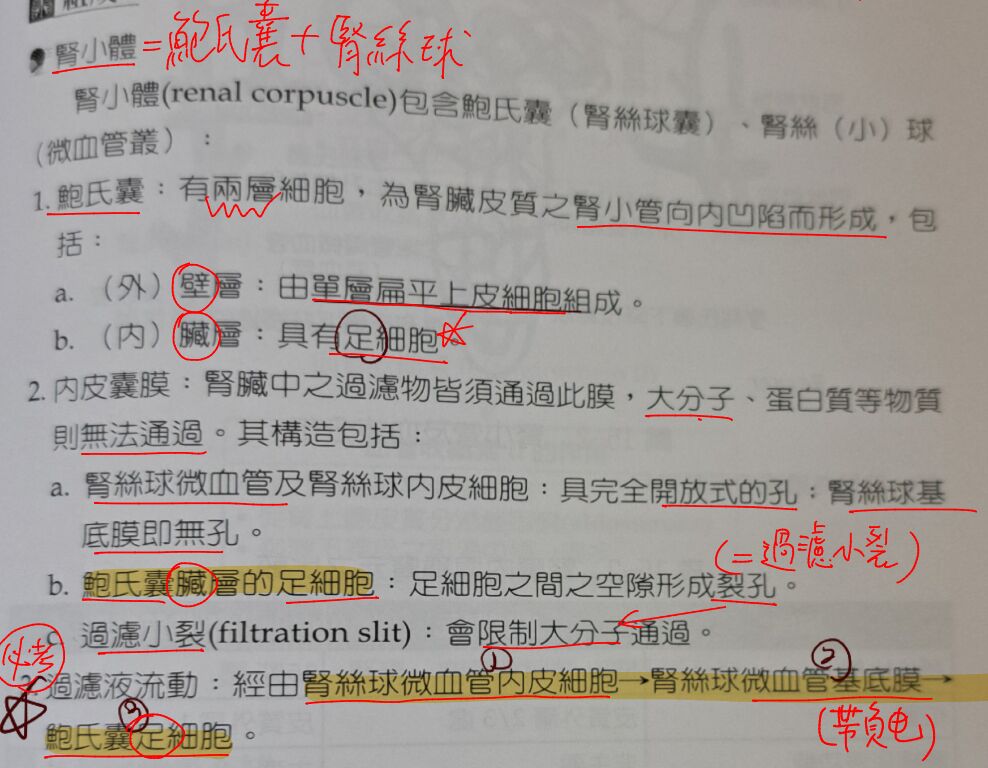 6a4011275e647.jpg