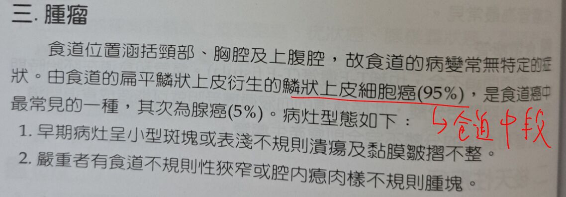 6a401e5282bda.jpg