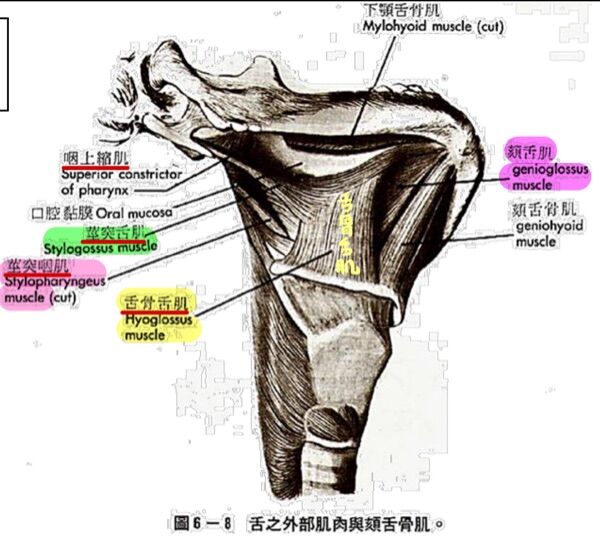 6a40aa7e788db.jpg