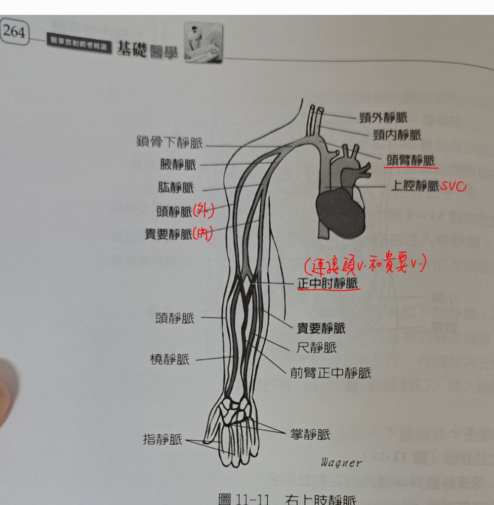 6a40e33e3f040.jpg