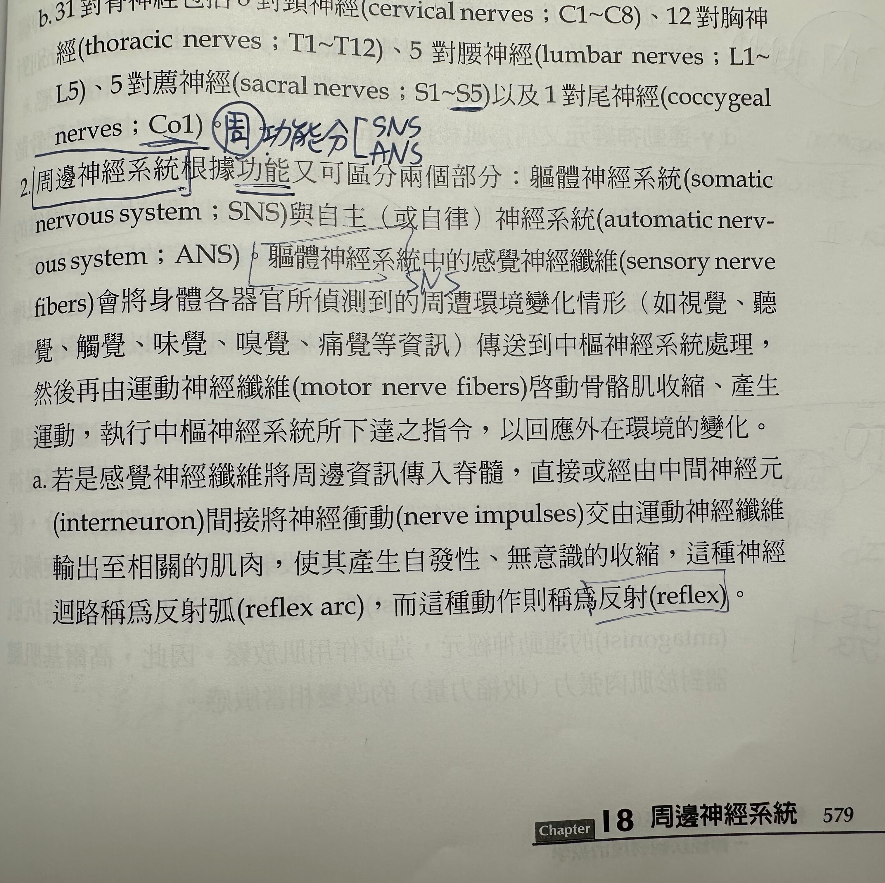6a41e8a7cb356.jpg