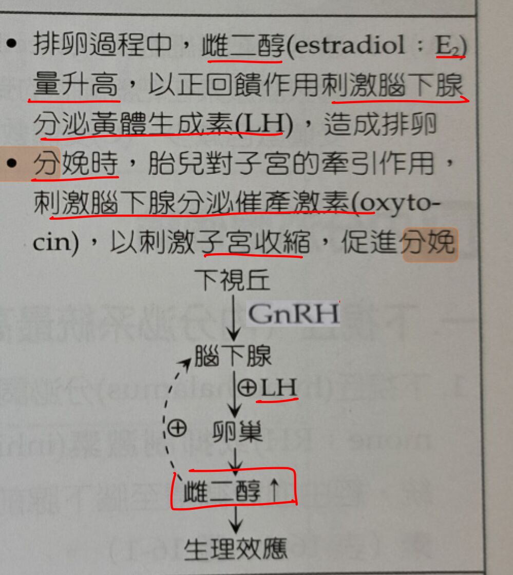 6a421b7dabd53.jpg