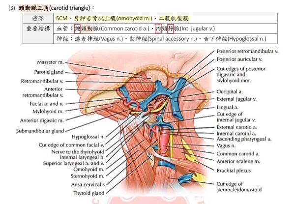 6a421d3cb6572.jpg
