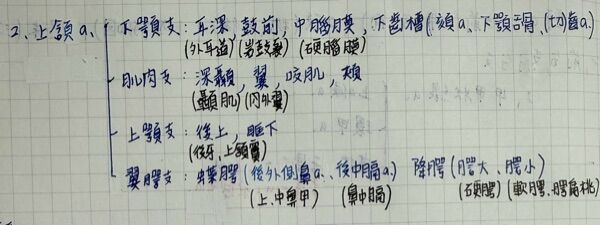 6a423aa2d014f.jpg