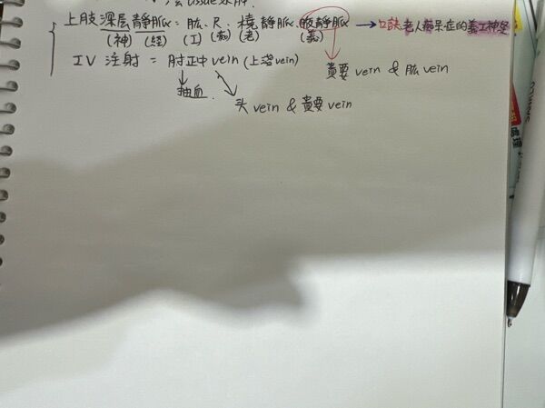 6a4358ffb03e4.jpg