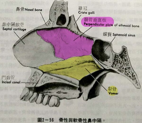 6a43acb19dcd4.jpg