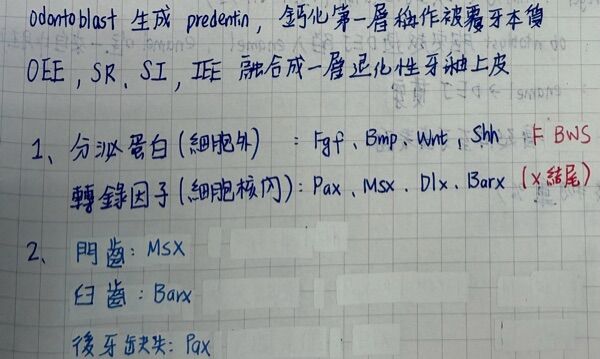 6a44a10cd4a0d.jpg