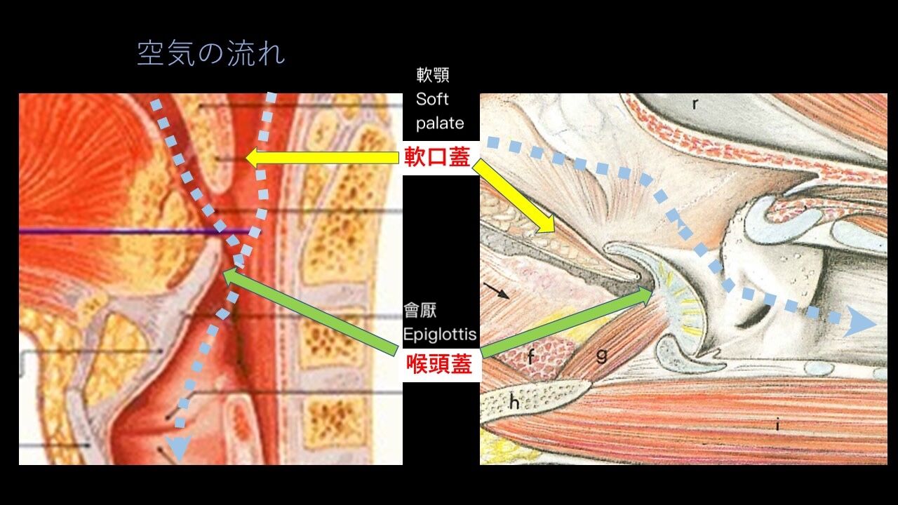 6a44ca30a89d2.jpg