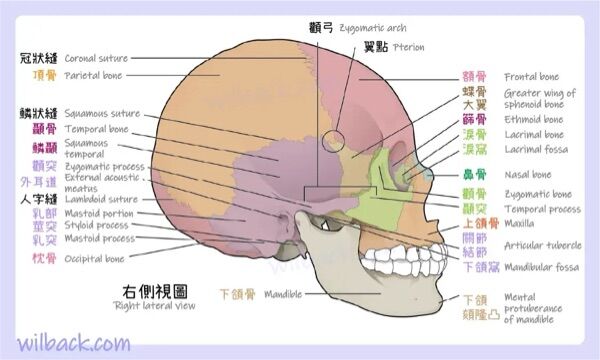 6a45e92661244.jpg