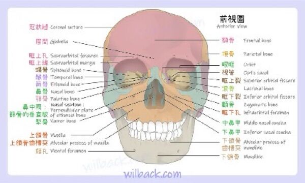 6a45e963efd19.jpg