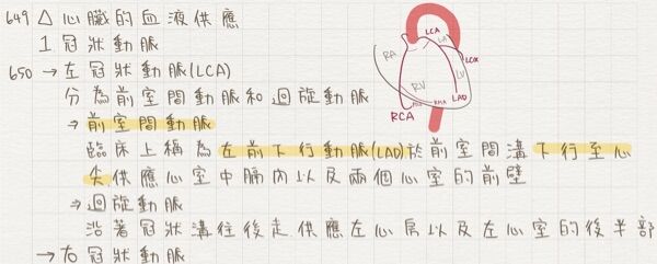 6a45f3acefd40.jpg