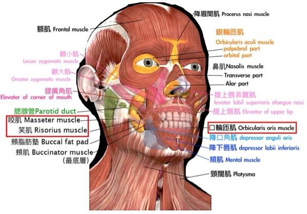 6a45fcd7cf586.jpg