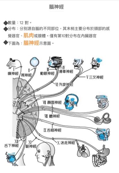 6a46007fe0fad.jpg