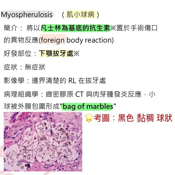 6a4630f61c94e.jpg