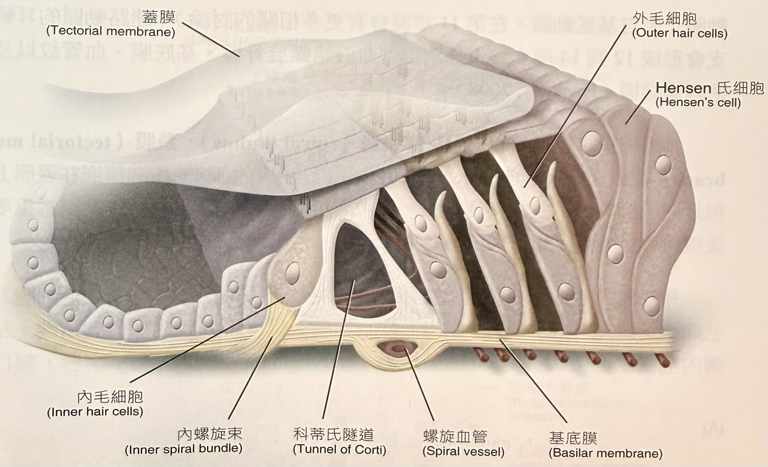 6a4731b637feb.jpg