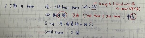 6a47683a91822.jpg